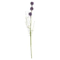 Zweig Wildblumen, Pompom/lila, 45 cm